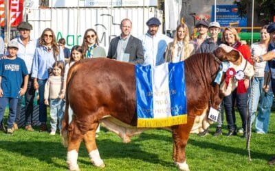 Braford invita a los amantes de la raza y de la ganadería a la Expo Prado 2025.