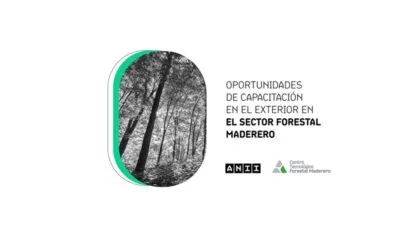 Becas para el desarrollo del sector forestal maderero.