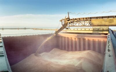 El suministro mundial de cereales alcanzará nuevos máximos.