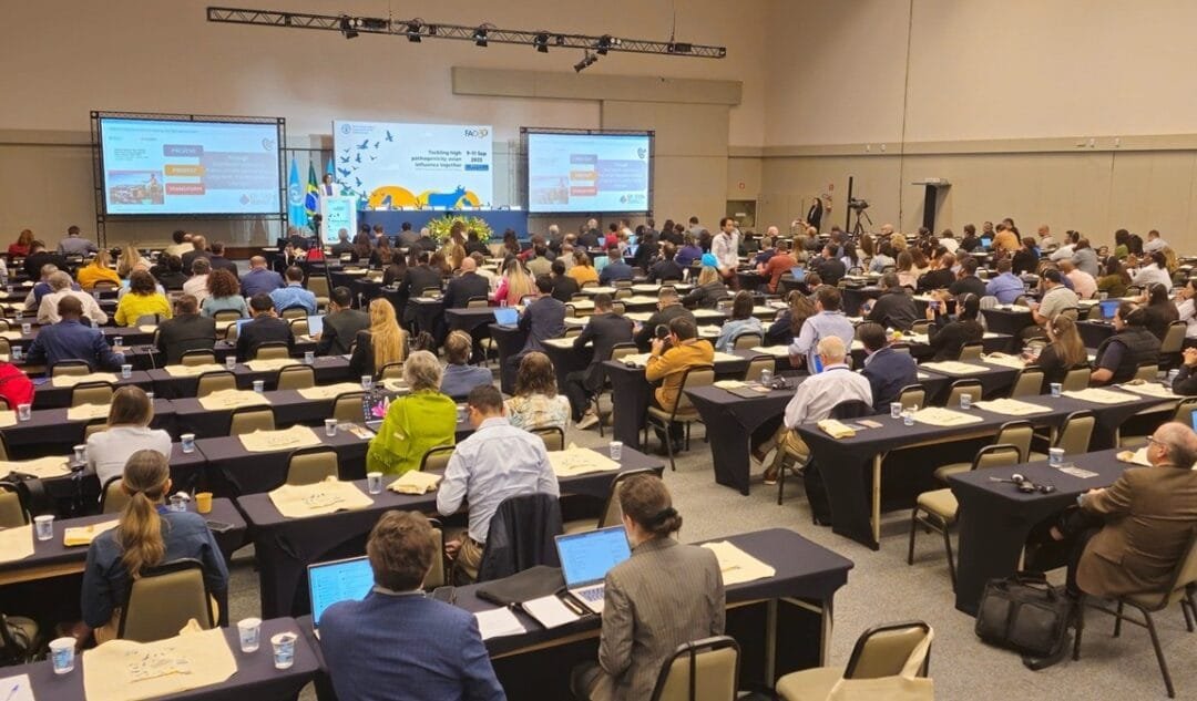 Influenza aviar. Se realizó en Brasil el primer diálogo mundial para abordar la amenaza