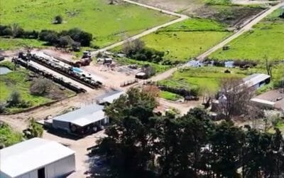 El 1° de octubre, jornada de campo de Conaprole.