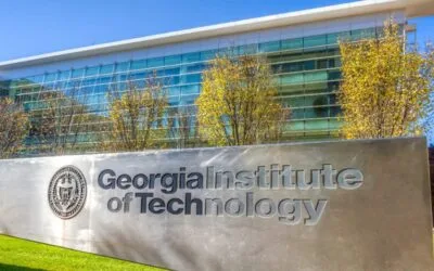 La expansión forestal aumenta la producción agrícola, según nuevo estudio de universidad de EE.UU.