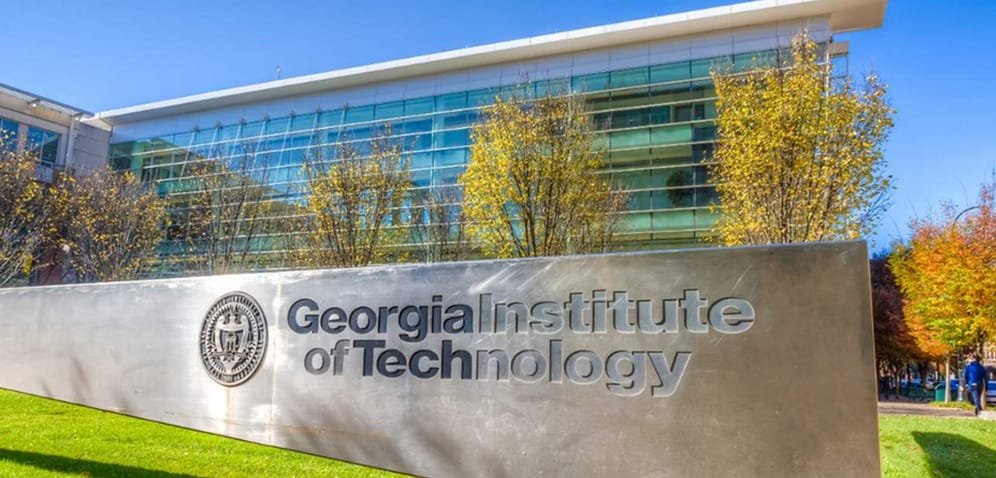 La expansión forestal aumenta la producción agrícola, según nuevo estudio de universidad de EE.UU.