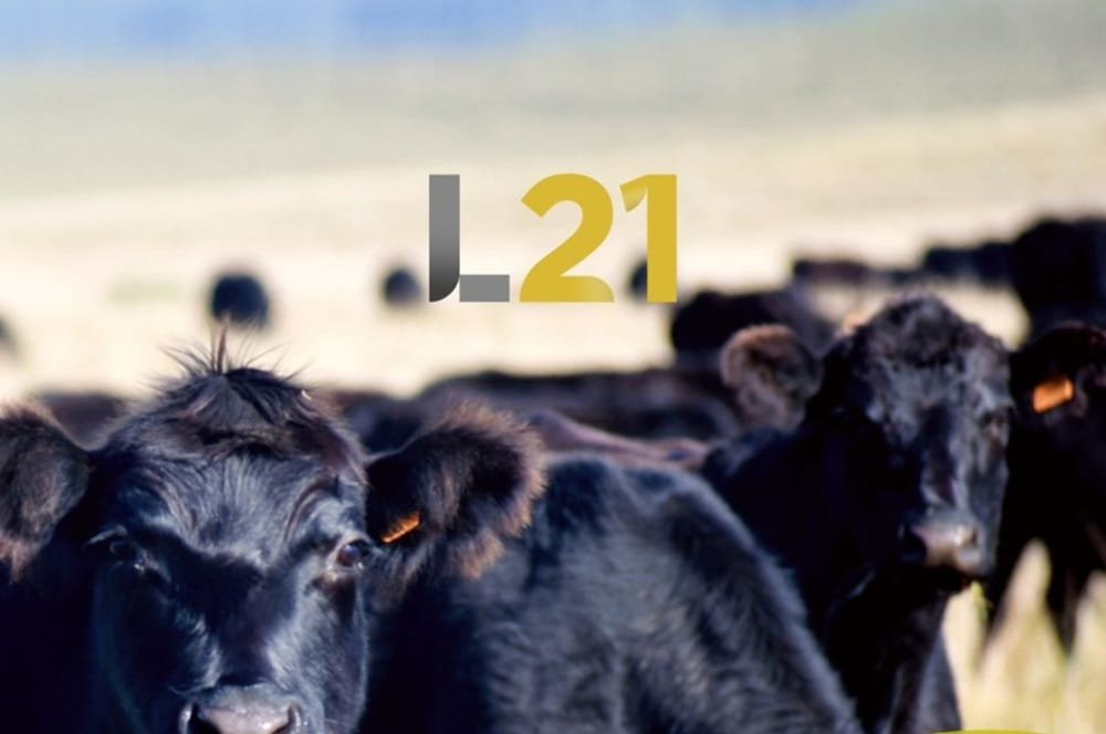 Lote 21 rematará el miércoles y jueves desde la Expo Prado.