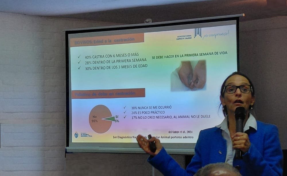 El descuido del bienestar animal pone en riesgo el futuro ganadero y genera pérdidas millonarias.