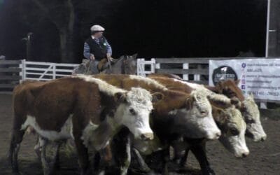 Con Montero & Fernández, Campanero mostró la realidad del mercado de reposición.