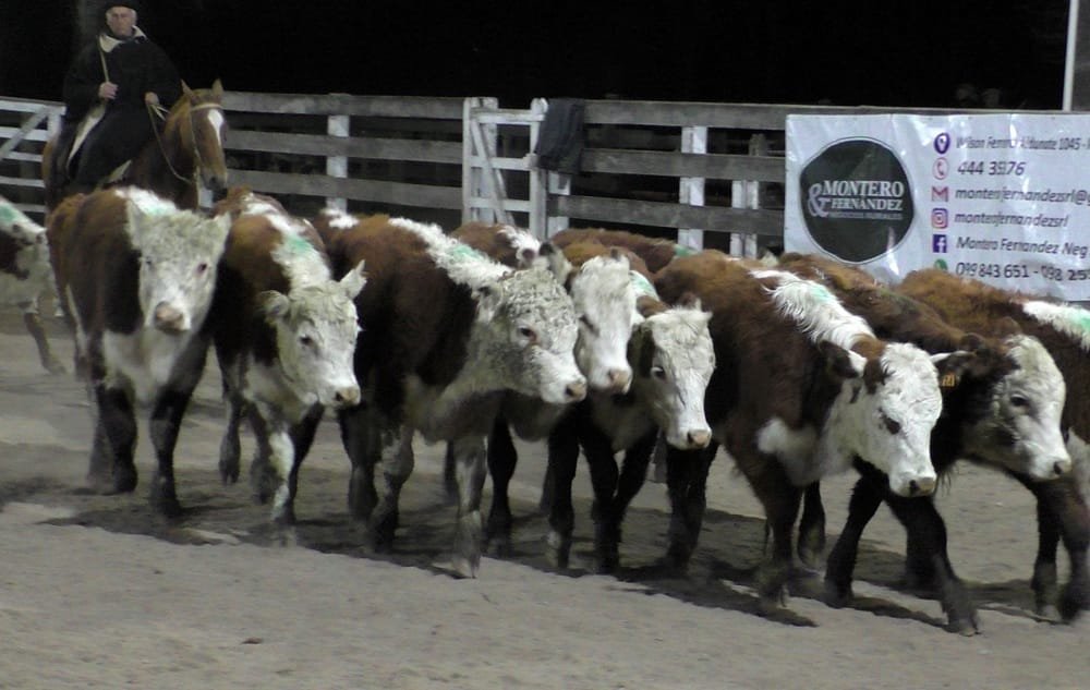 Con destacados promedios en Campanero se dispersó voluminosa oferta.