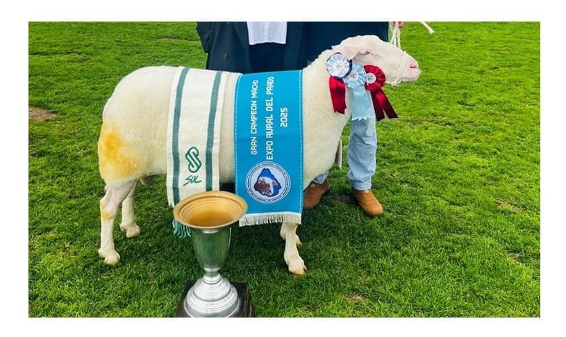 Granja Útica ganó con Frisona Milchschaf y Suffolk.