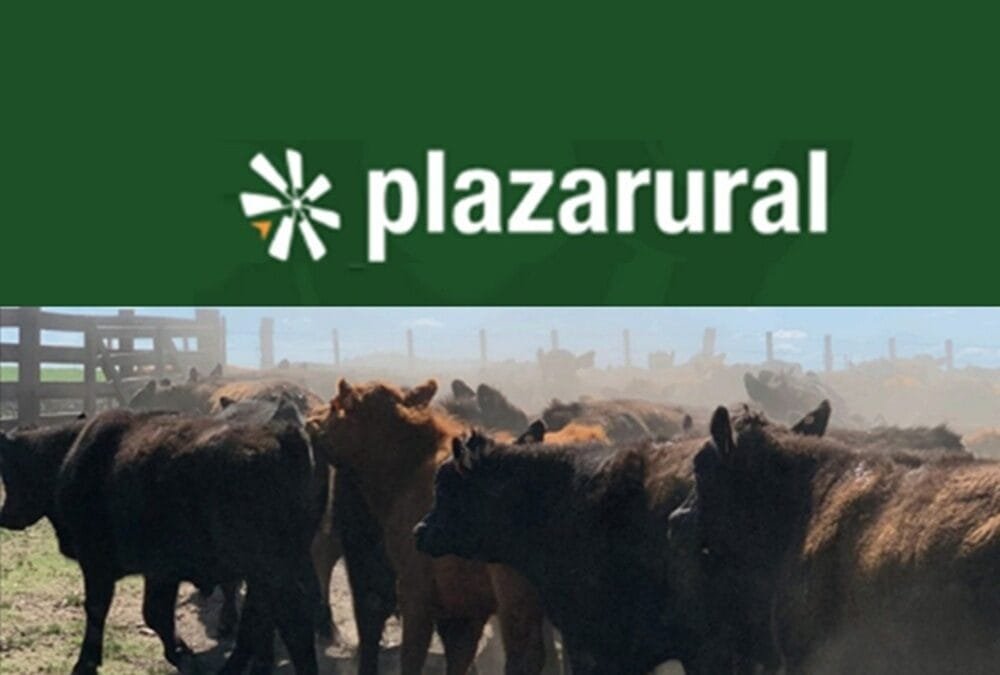 Gran remate de Plaza Rural: ventas totales y con valores firmes.  