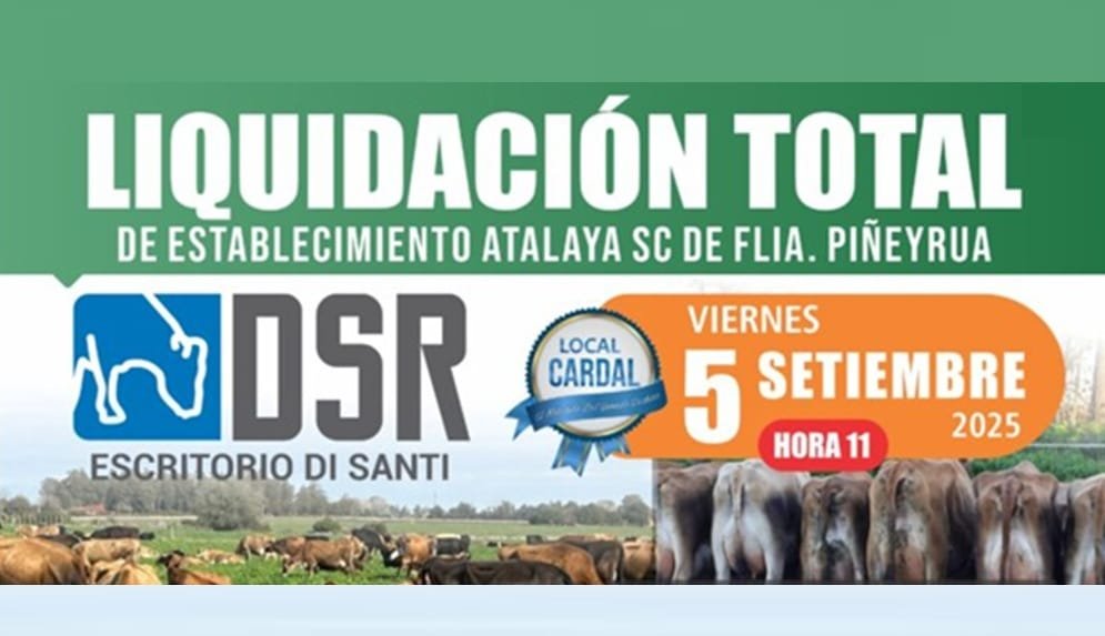 Hoy desde las 11 horas, importante remate de Di Santi.