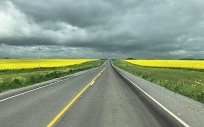 Floración de cultivos de colza invita a recorrer el interior uruguayo.