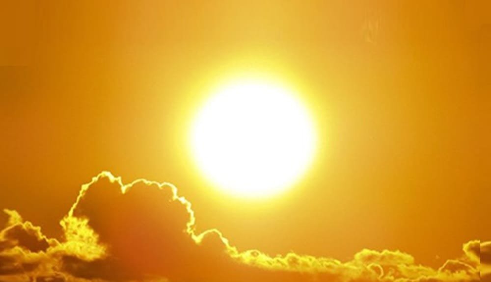 El impacto de las temperaturas extremas en la producción agrícola.