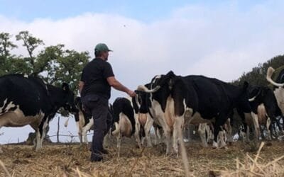 Intendencia de San José llama a productores familiares del departamento.