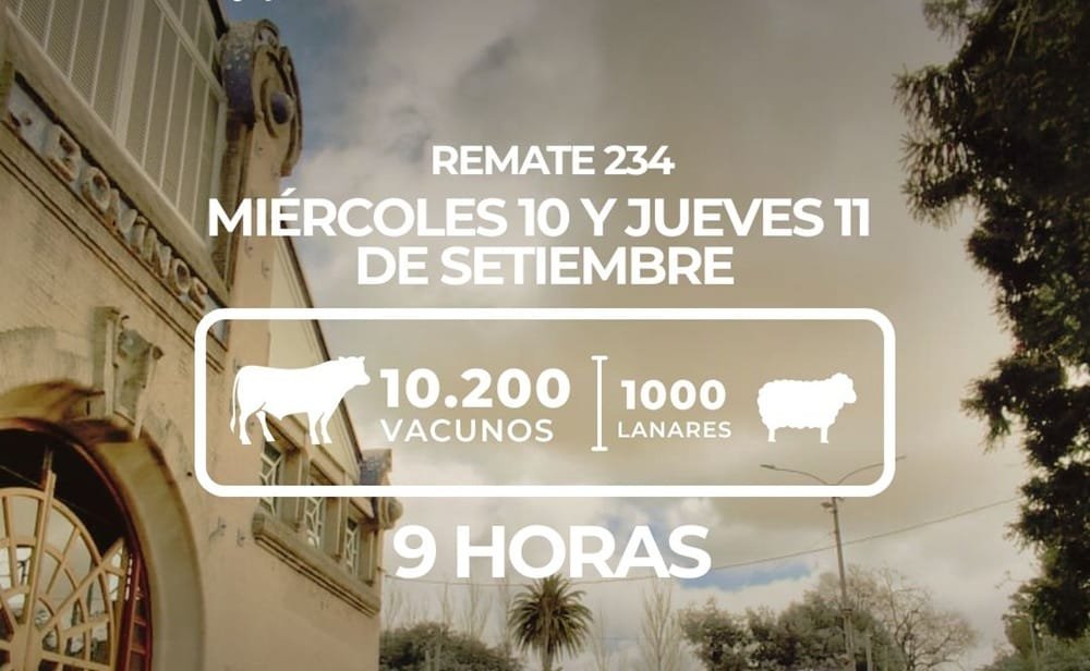 Hoy y mañana Lote 21 rematará desde la Expo Prado.