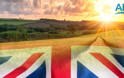 Baja la producción de carne ovina en la UE, con aumento en las exportación e importaciones.