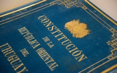 La ley de presupuesto viola la Constitución, afirmó el Dr. José Gómez Leiza.