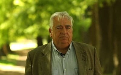 Los ovinos, una excelente carta para jugar.