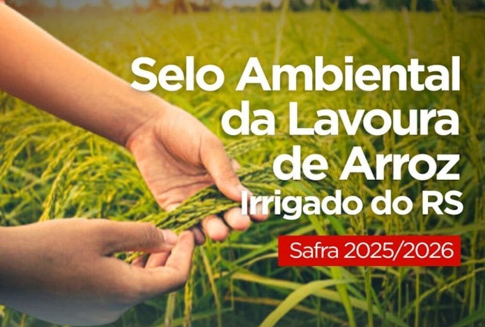 Productores arroceros de Brasil van por el Sello Ambiental para dar mayor valor y confiabilidad a su producto.