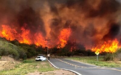 La Rural Argentina pidió “plan de prevención” para los incendios en Córdoba.