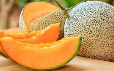 Comienza la zafra de durazno, melones y maíz dulce.