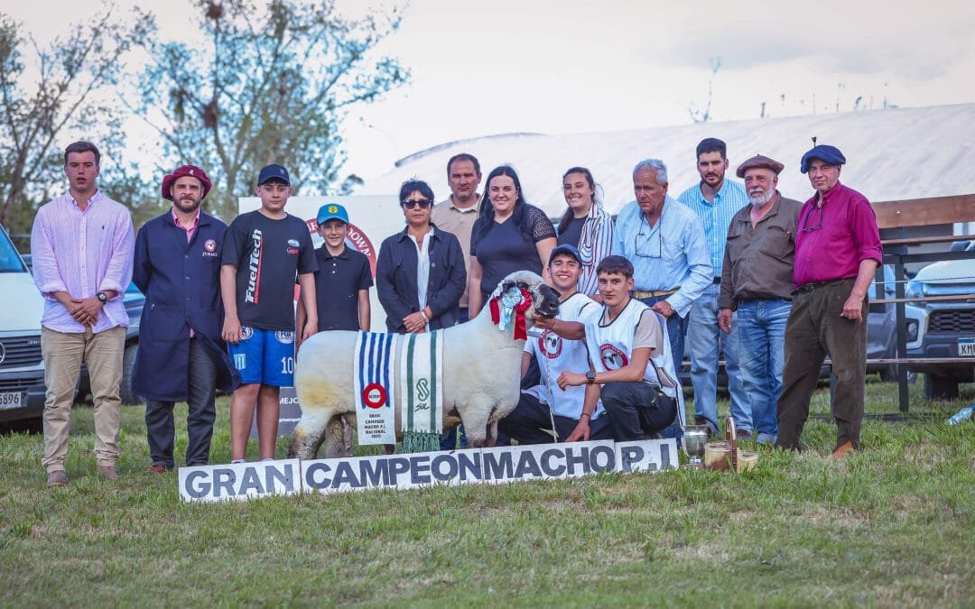 Expo Campanero 2025. Exitosa jornada Hampshire, cantidad y calidad.