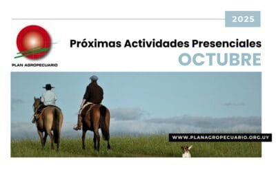 Agenda de actividades del Plan Agropecuario para el mes de octubre.