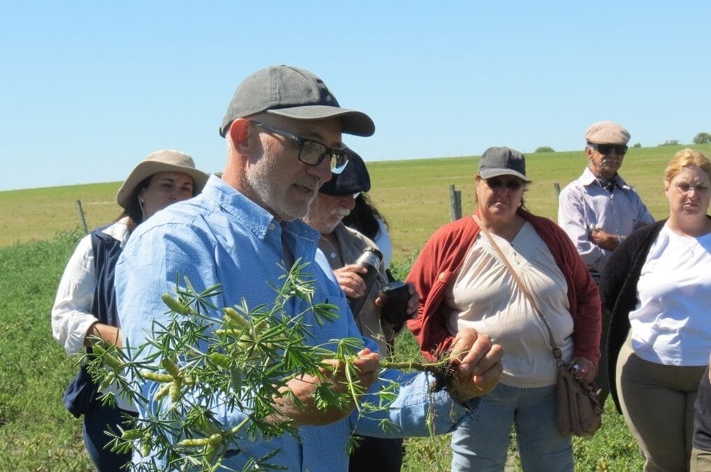 Richard Avelino, productor inquieto que incorpora tecnologías para mejorar la producción ovina.