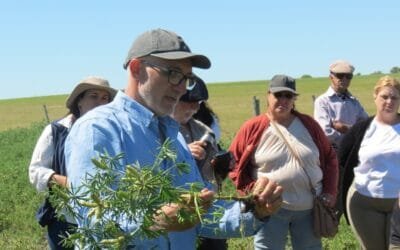 Richard Avelino, productor inquieto que incorpora tecnologías para mejorar la producción ovina.