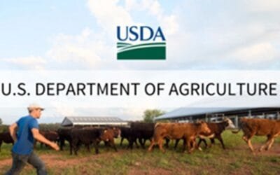 USDA anunció plan para ganaderos y consumidores estadounidenses.