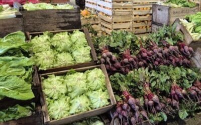 Abundante oferta de hortalizas de hoja.