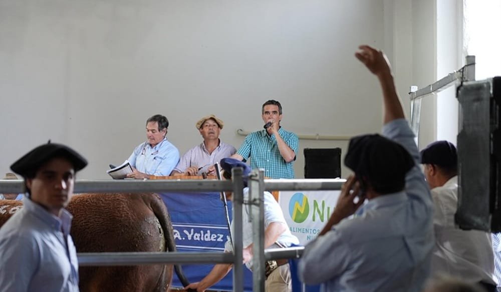 Sobresaliente, el remate de los toros de La Elisa, con Valdez.