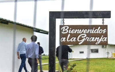 Titular de avícola El Poyote: “Soñamos con poder exportar, aunque los costos actuales no lo permiten”.