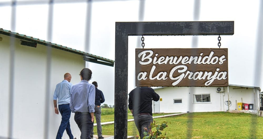 Titular de avícola El Poyote: “Soñamos con poder exportar, aunque los costos actuales no lo permiten”.