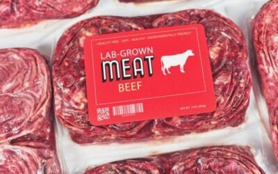No digan que no les avisamos: gracias al poder de la propaganda “verde”, 35% de los europeos acepta comer carne de laboratorio.