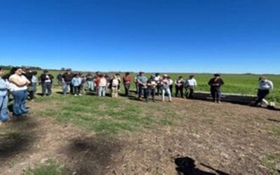 Presidente de Colonización sobre trabajo en establecimiento ovino: “Nos impresionó”.