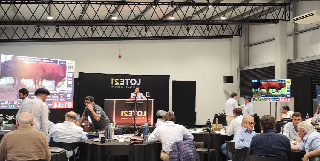 Lote 21 remata hoy desde las 09.00 horas.