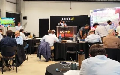 Ajuste al alza y ventas totales de Lote 21 en el remate 241.