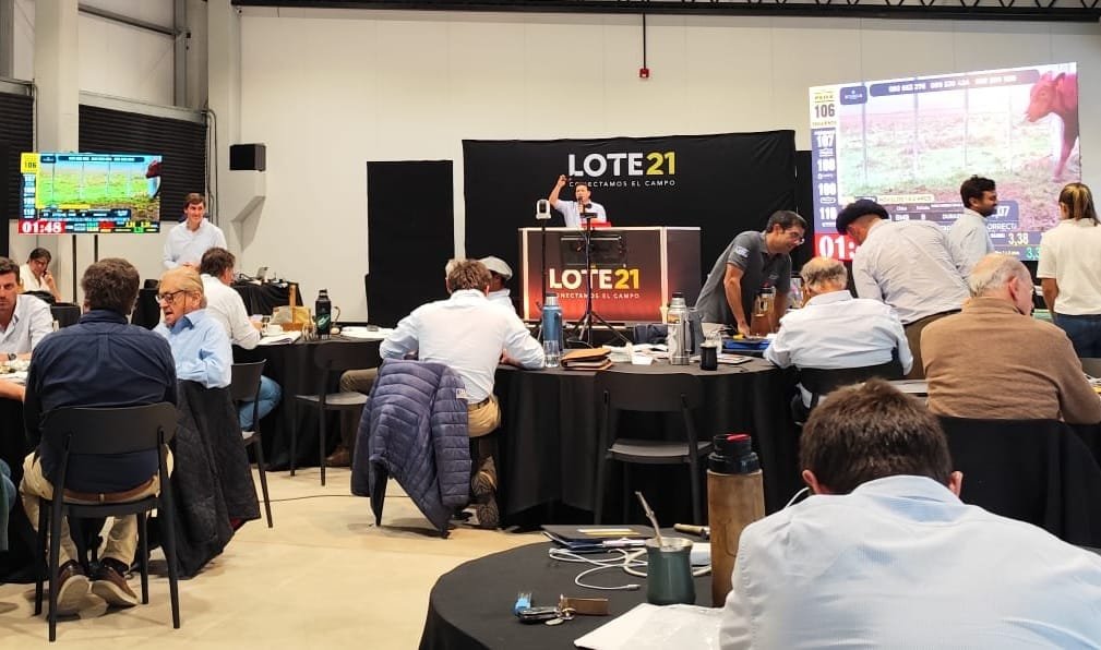 Lote 21 vendió ayer prácticamente toda la oferta; el remate continúa hoy.