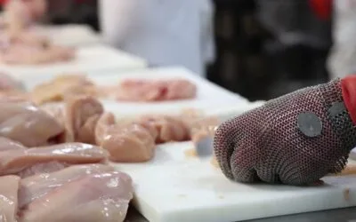 Uruguay también es avícola. Cupra difundió tres breves video para informar sobre la cadena avícola nacional.