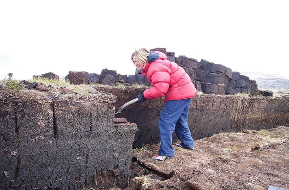 Día de la turba en Malvinas y un artículo del Plan Agropecuario.