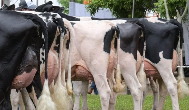 Conaprole y UTEC forman a los futuros tamberos: arranca en abril el programa para jóvenes hijos de productores