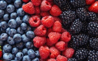 Mercado de granja: se incorporan nuevas frutas.