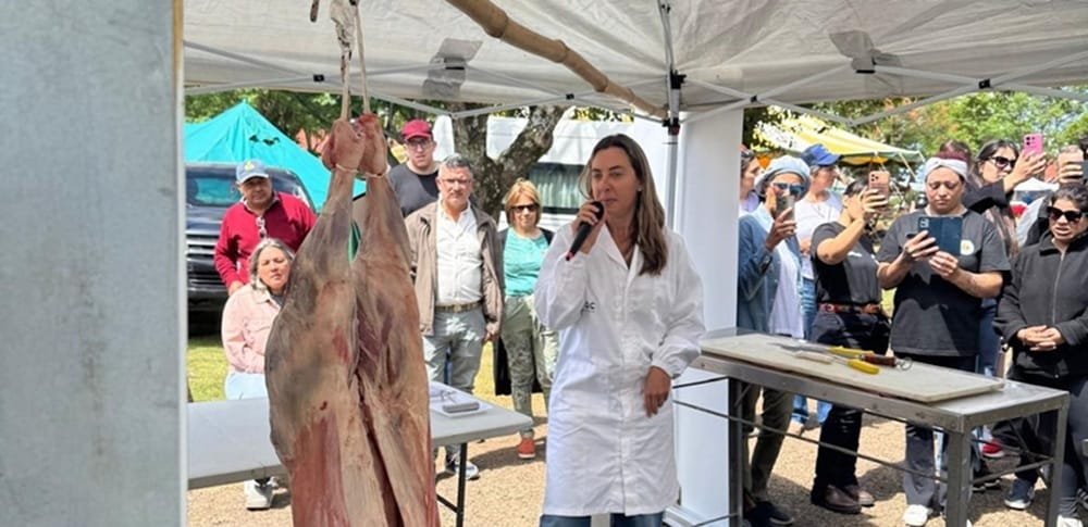 Concurso Plato Ovino en Artigas.