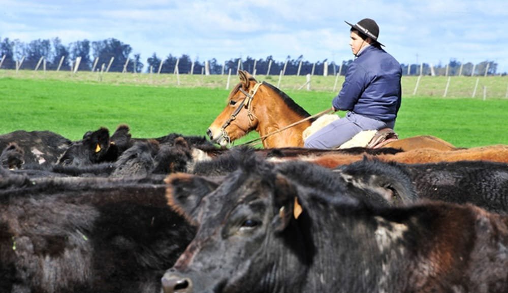 Procría recibió la inscripción de más de 1.700 pequeños productore.