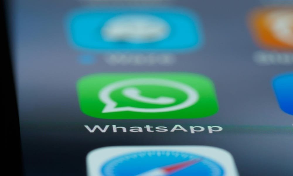 El MGAP tiene canal de WhatsApp: “Educación Sanitaria y Extensión” para fortalecer la comunicación.