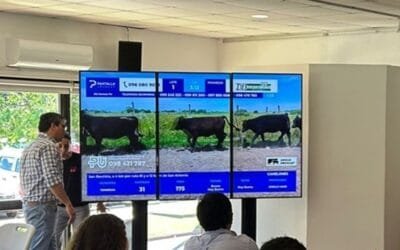 Pantalla Uruguay colocó el 91% de la oferta.