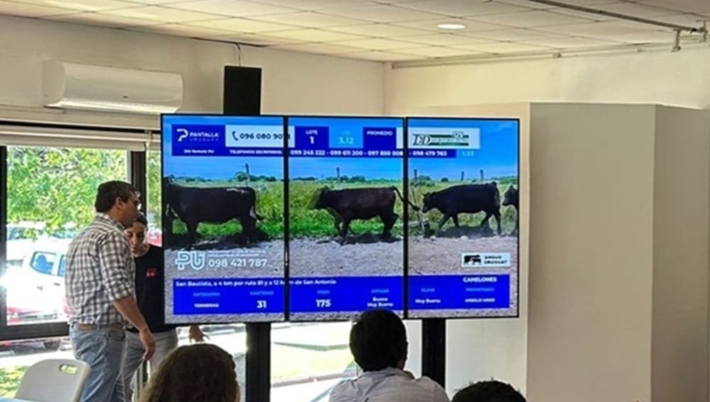 Pantalla Uruguay realiza hoy el último remate del año.