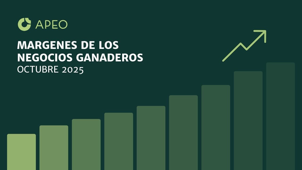 Márgenes y rentabilidades de los sistemas de cría en campo natural y recría sobre pasturas intensivas.