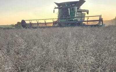 Panorama de los cultivos.