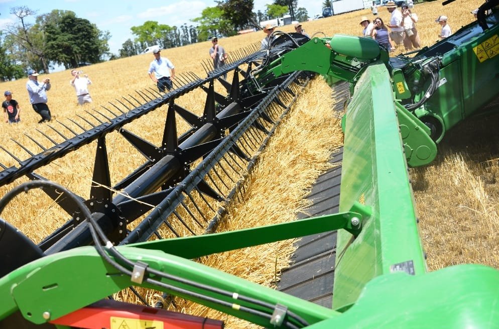 El 14 de noviembre, Ombúes de Lavalle inaugura la cosecha de cebada.
